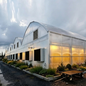 Serre <span class=keywords><strong>agricole</strong></span> multi-travées à 100 % de privation de lumière, structure en acier galvanisé robuste, pour usage commercial - Product Image 1