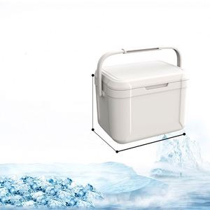 Échantillon Gratuit - Glacière Thermique Portable pour Camping, Voiture, Pique-nique - Boîte Isotherme pour Aliments Frais - Product Image 4