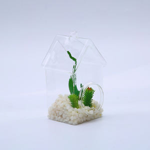 Transparente Hausform Glasvase <span class=keywords><strong>Terrarium</strong></span> mit Loch - Product Image 2