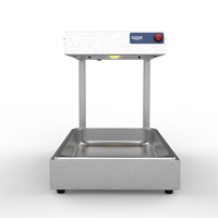 Machine de maintien au chaud pour frites et chips de pommes de terre, 450W, pour restauration rapide, modèle de table avec lampe chauffante 25W