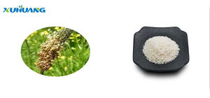 खाद्य ग्रेड विश्वसनीय साइलियम भूक पाउडर - Product Image 4