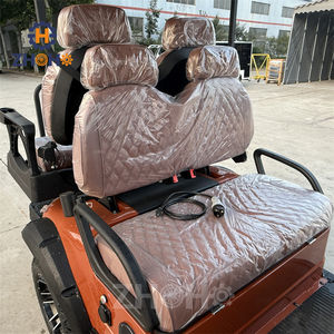 Carritos de Golf Eléctricos Clásicos Cerrados, 3-4 Plazas, Construcción Premium. Compre Ahora, Entrega Rápida, Precios de Mayoreo Disponibles. - Product Image 6