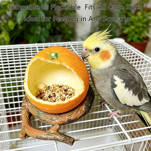 Plateforme d'alimentation pour oiseaux au design fruitier, bol suspendu pour nourriture et eau pour perroquets, décoration de cage - Product Image 3
