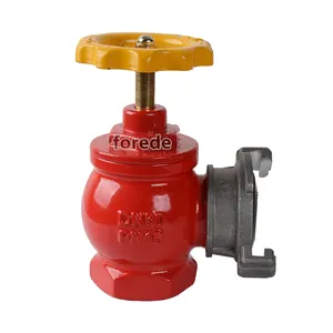 forede Right Angle Type Indoor Fire Hydrant Landing Valve For Vietnam Market