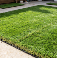 Tapis de gazon synthétique pour toit et patio, qualité professionnelle, 30 mm, non toxique, pour putting green intérieur/extérieur, faible entretien