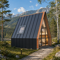 Villa préfabriquée de luxe moderne en acier léger avec un magnifique toit triangulaire modulaire