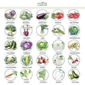 Verdura cimelio di Design moderno di <span class=keywords><strong>Jon</strong></span> Gardner 25 varietà per giardinieri domestici principianti fioriere - Product Image 1