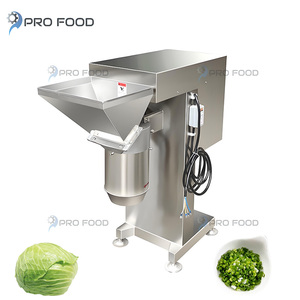 Máquina trituradora de verduras de flores de fácil limpieza para alimentos Restaurante de alta productividad Cantine Triturador de verduras - Product Image 1