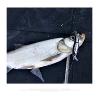 120mm 17.5g leurres de pêche ABS multi-articulés appâts durs flottants méné nageur queue souple Wobblers pour bar brochet rivières lacs