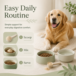 Hochwirksames Verdauungsförderndes Pulver für Hunde - Probiotische & Ballaststoffreiche Formel - Großhandel Haustier-Vitalitäts-Wellness-Ergänzung 2oz - Product Image 4