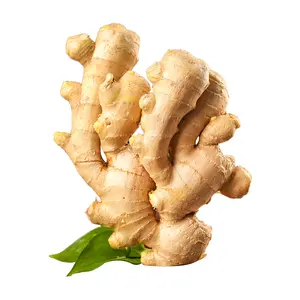 Fresh Ginger Buyer Dried Chinese Ginger Supplier New Crop Optimum Yellow Fresh Ginger