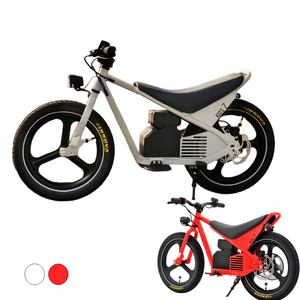 Bicicleta Eléctrica Infantil JYOP-SMKID con Motor sin Escobillas de 24V y 150W, 1 Velocidad, Batería de Litio de 4.2Ah, Cuadro de Aluminio, Frenos de Disco Hidráulicos, 20km/h de Velocidad Segura - Product Image 1