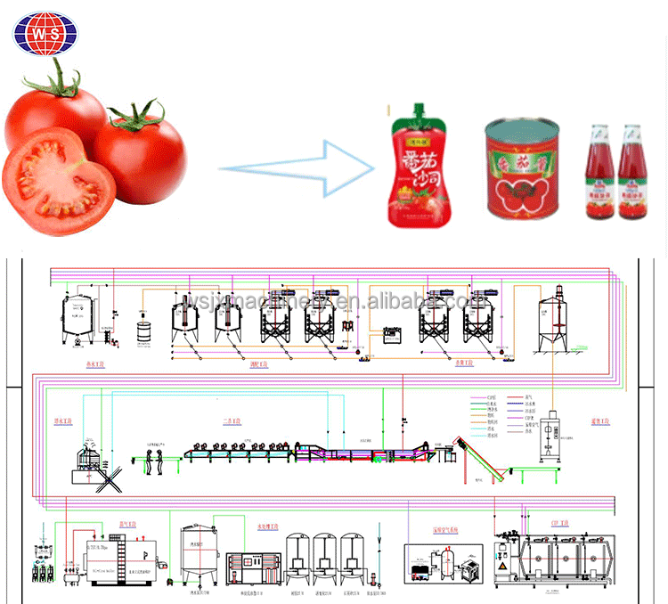 Automatic Aseptic Tomato Paste Machine Production