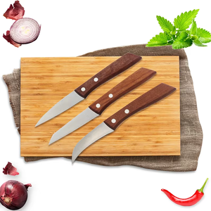 Set di 3 Coltelli da Intaglio in Acciaio Inox con Lame Diversificate per Bistecca, Verdure, Frutta, Manico in Legno per Arti Culinare - Product Image 3