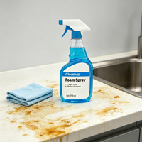 Pulvérisateur à gâchette HDPE 750 ml personnalisé avec logo couleur pour élimination des taches liquides, nettoyage et désodorisant maison, chambre, toilettes, cuisine