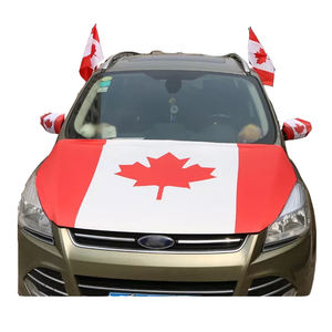 2024 дешевые, Лидер продаж, спандекс, печать логотипа на заказ, сублимационная рекламная кампания, Мексика, Национальный автомобильный капот, флаг - Product Image 6