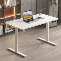 Bureau assis-debout personnalisable à hauteur réglable, mobilier de bureau ergonomique moderne à double moteur