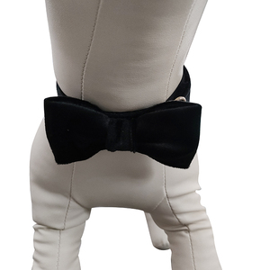 カスタムプリント調節可能なローズゴールドメタルバックル高級ベルベット犬の首輪と蝶ネクタイセットマルチカラー - Product Image 2