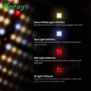 Samsung lleno espectro LED Junta Spyder luz <span class=keywords><strong>SF1000</strong></span> 100W para interior planta médica suculentas vegetales de hoja granjero - Product Image 3