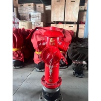Hidran Kebakaran Luar Ruangan Grosir Tipe Wet Barrel Dn100/Dn150 dengan Beberapa Port Keluaran, Peralatan & Aksesoris Pemadam Kebakaran