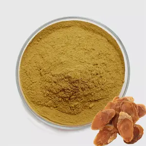 High Quality Red Ginseng Extract 80% Ginsenoside Red Ginseng Root Extract