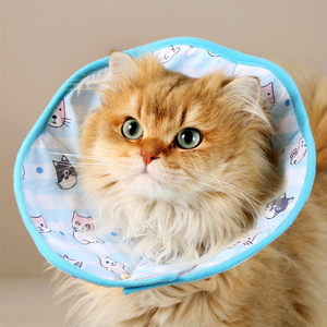 Collier d'entraînement pour animaux de compagnie, motif de dessin animé, polyester imperméable pour chats et chiens, taille XSSML - Product Image 1
