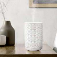 2021 sculpté blanc couleur céramique nouveau ultrasons décoration de la maison Art humidificateur lumière chaude huile essentielle diffuseur d'arôme
