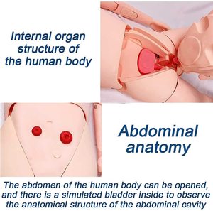 Maniquí de Cuidado del Paciente KyrenMed con Brazo para Medir la Presión Arterial, Maniquí de Tamaño Real para Entrenamiento de Enfermería - Product Image 2