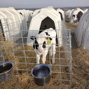 Ternero casa básica de grado alimenticio tipo abierto sin cerco ventilación lateral trasera jaula de animales ganado