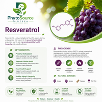 Poudre d'extrait de Resvératrol de qualité alimentaire en vrac 98% par HPLC certifiée Halal Ingrédient de supplément à base de plantes Fournisseur PhytoSource
