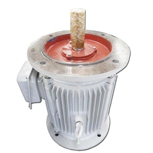 Alternateur triphasé sans balais 55 KW 900 tr/min, forte capacité de surcharge pour charges lourdes - Product Image 3