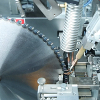 Pointes en carbure de tungstène brasées stellite lame de scie circulaire soudure par brasage de dents machine de brasage par induction hf avec radiateurs de refroidissement