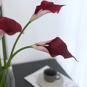 Fleurs artificielles de lys calla à longue tige en plastique souple, haute simulation, pour décorations de mariage et d'intérieur - Product Image 4