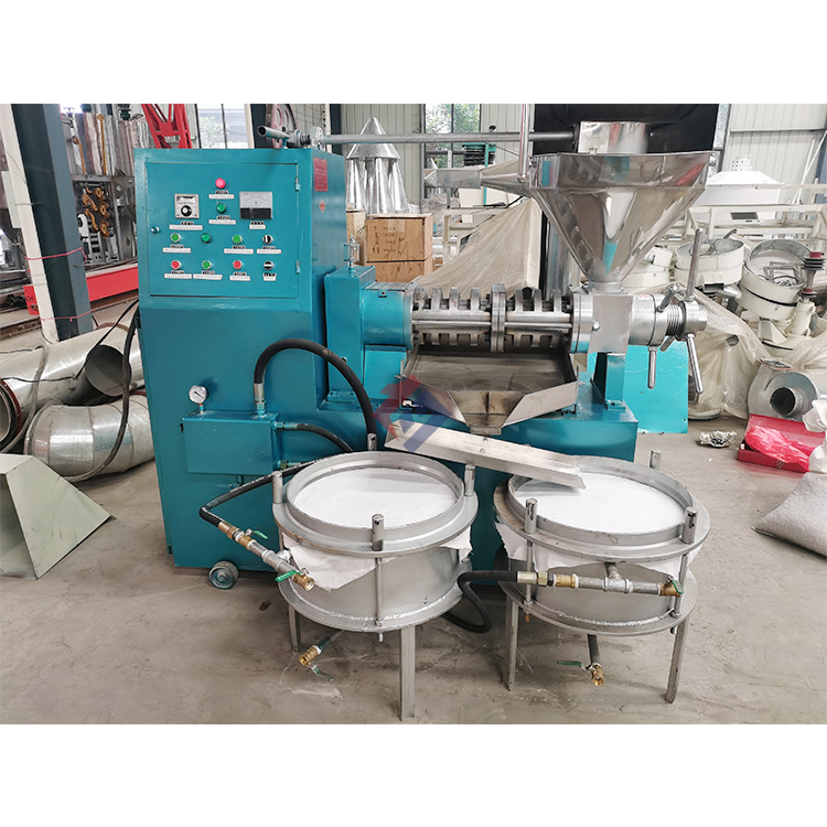 ZX-130 Oil Press Machine - Automatic 800kg/h Capacity