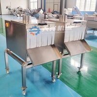 Machine de fabrication de chips de plantain semi-automatique DY machines de fabrication de chips de banane machine de découpe d'oignons 600 kg/h