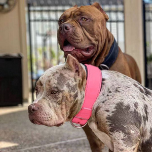 Nuevo collar impermeable para perros de cloruro de polivinilo, personalizable, con un diseño lujoso, adecuado para perros medianos y grandes. - Product Image 5