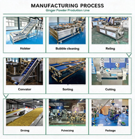 Productielijn voor gemberpoeder, gembermaalmachine, gembertdroogmachine, gemberwasmachine, productielijn voor kruidenpoeder