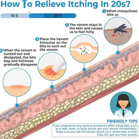 Extracteur de venin sous vide Trousse de premiers secours en plein air Pompe de détoxification pour piqûres de moustiques Outil de survie Détoxification liquide pour piqûres d'abeilles