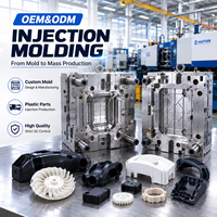 Servicio de Moldeo por Inyección de Carcasas de Plástico para Cámaras de Seguridad OEM |   Diseño de Moldes Personalizados, Producción y Ensamblaje de Piezas de ABS y PC, CE, ROHS, ISO