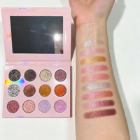 Palette de fards à paupières duochrome 12 teintes avec logo personnalisé, palette à marque privée avec miroir, plusieurs couleurs disponibles pour la vente en gros