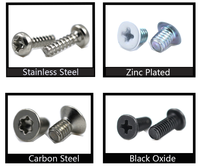 Fabrieks Beste Prijs Metrisch RVS Koolstofstaal Zwart Verzinkt Kruiskop Torx Pan Head Klasse 4.8/6.8 Micro Watch Verborgen TP