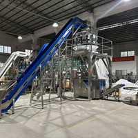 Machine automatique pour légumes (carottes, haricots) – Système VFFS de pesage, remplissage et scellage avec contrôle PLC pour sacs en papier – Haute productivité