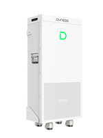 Batterie au lithium Lifepo4 Dyness PowerBrick Plus 16 kWh 51,2 V 314 Ah 8000+ cycles de vie avec onduleur solaire pour système de stockage d'énergie