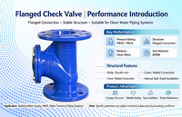 Vanne à soufflet silencieuse en fonte ductile avec joint en caoutchouc, anti-colmatage, haute performance, PN10/PN16 pour l'eau