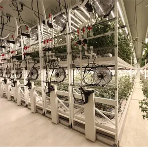 Factory Directly Flood Grow Table Multi Level Hydroponic Grow Racks With Trays For Warehouse