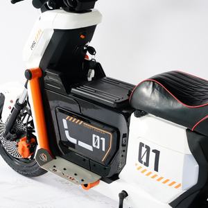 Fournisseur d'usine Batterie au lithium 48V 24Ah Scooter électrique intelligent à longue portée/Vélo électrique pour adultes avec puissance en option - Product Image 5