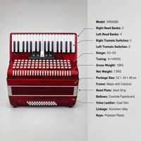 Accordéon chromatique 34 touches 60 basses avec logo personnalisé OEM, 5 registres, en bois et celluloïd, portable, marque privée, directement de l'usine