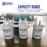 Fabrika Çıkışı 11kV 0.4kV Tek Fazlı Direk Tipi Trafo 5kVA-167kVA Özelleştirilmiş Kapasite Toptan Satış