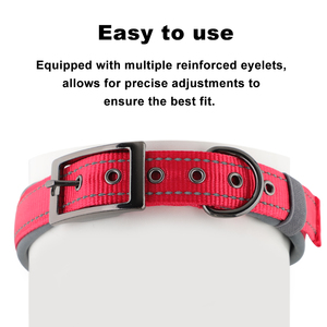 <span class=keywords><strong>Collar</strong></span> de perro de banda de nailon fuerte ancho y grueso para perros de gran tamaño con hebilla de Metal - Product Image 2