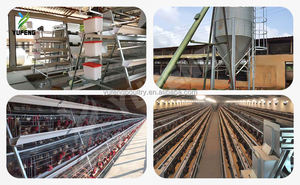 A Tipi Tavuk Kafesi Batarya Kafesi Kolay Kurulum Çiftlik Ekipmanları Yumurtacı Tavuk Kafesi 4 Katlı Yüksek Kapasiteli 1000 Tavuk İçin - Product Image 4